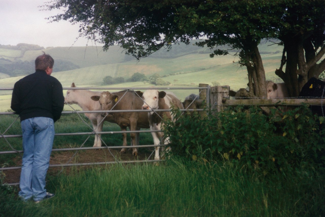 Adrian communing with the cows in Dorset London trip June 2000